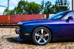 polep-aut-dodge-challenger-avery-riptide-rushing-color-flo-17