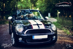 car-wrap-design-studio-ales-polep-aut-mini-cooper-s-stripes-3