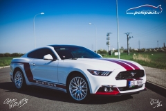 car-wrap-mustang-stripe-design-studio-ales-polep-aut-arlon-true-blood-6